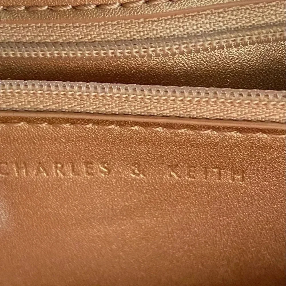 Charles & Keith pink poly crossbody handbag